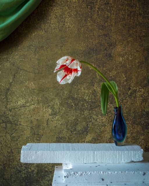 Styrofoam - Styropor